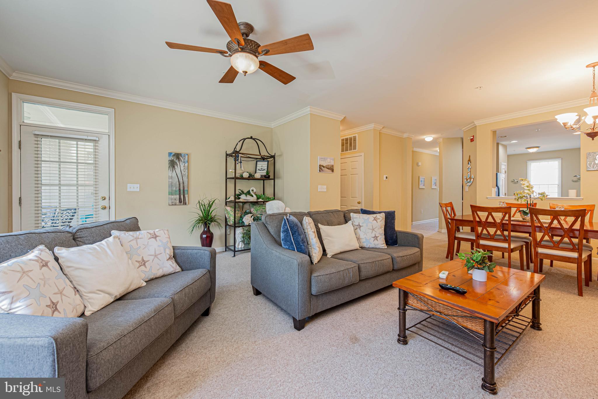 BEAR TRAP - Residential