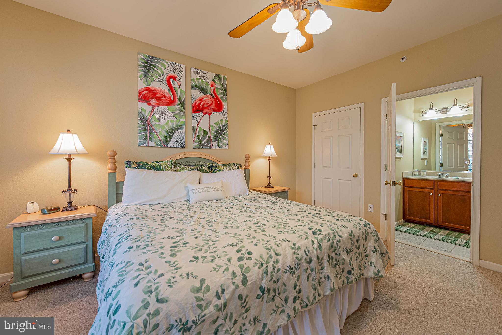 BEAR TRAP - Residential