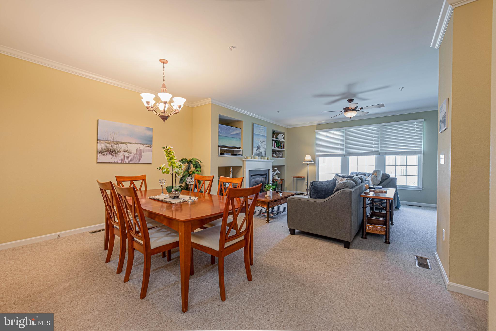 BEAR TRAP - Residential