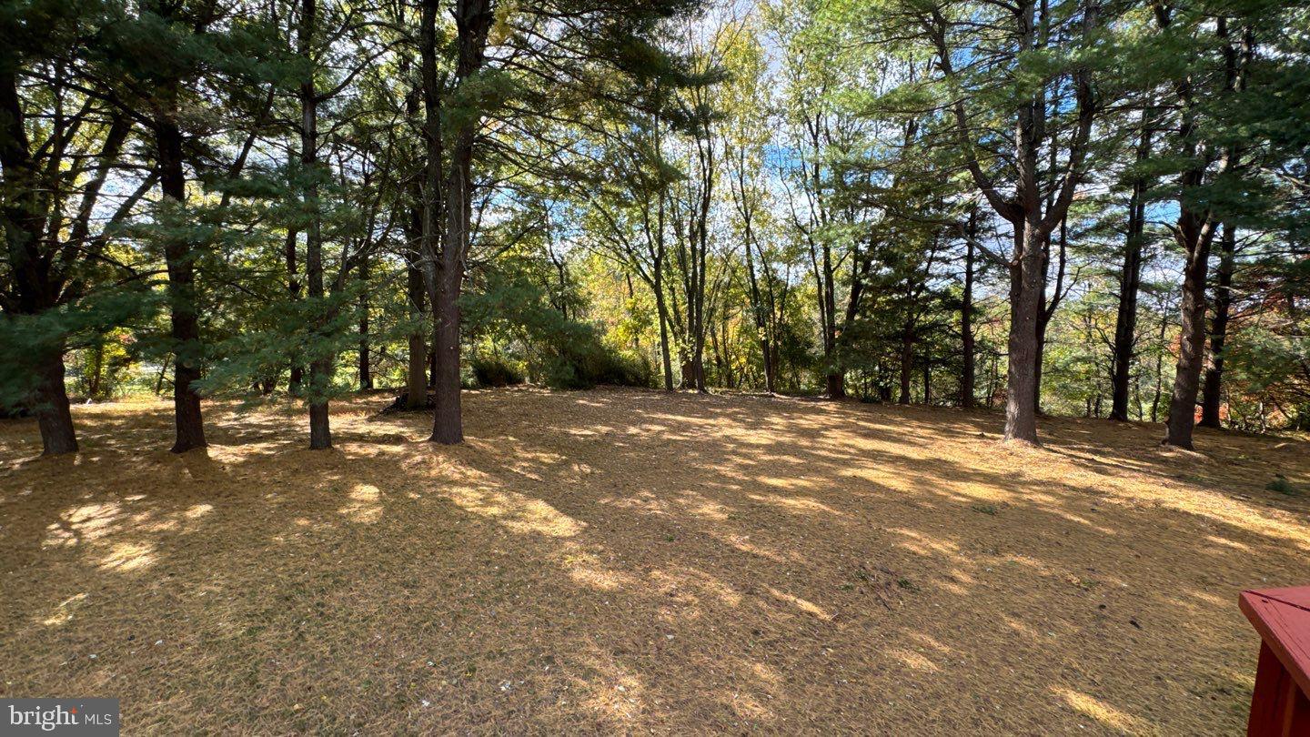 BRAMPTON HILLS - Residential Lease