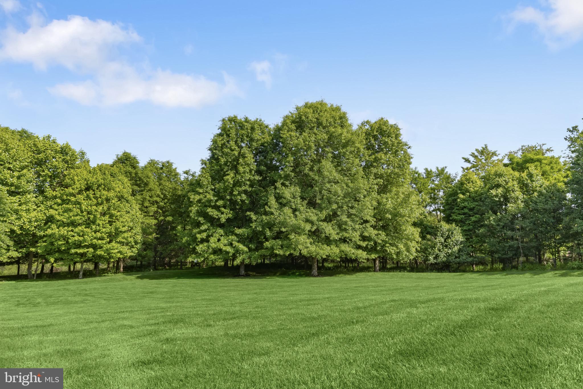 FOX MEADOW - Residential