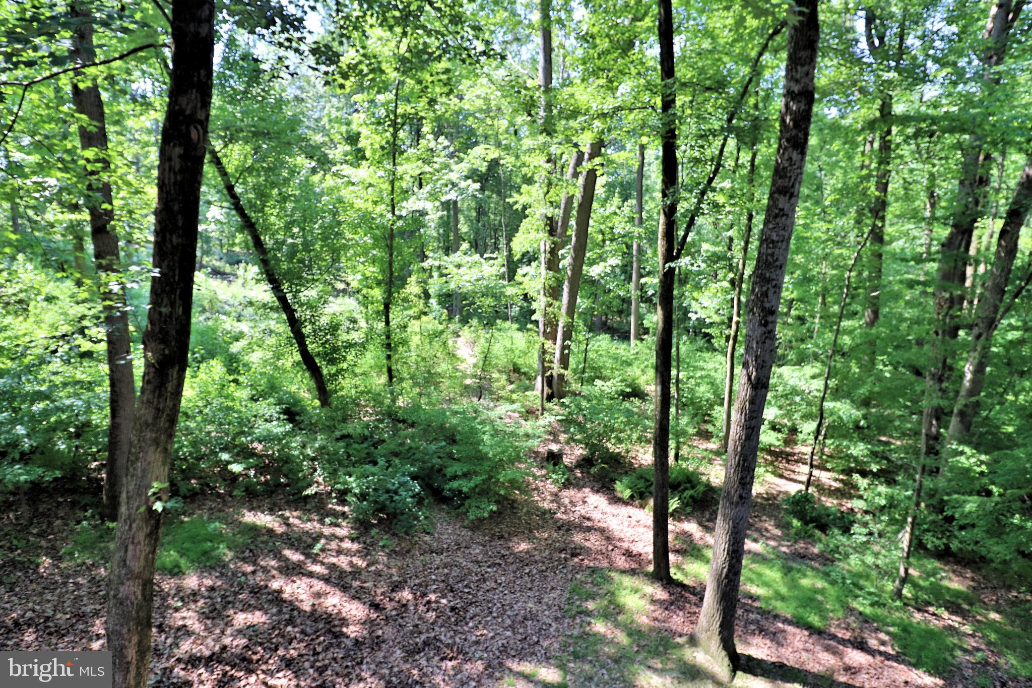 TANGLEWOOD - Residential