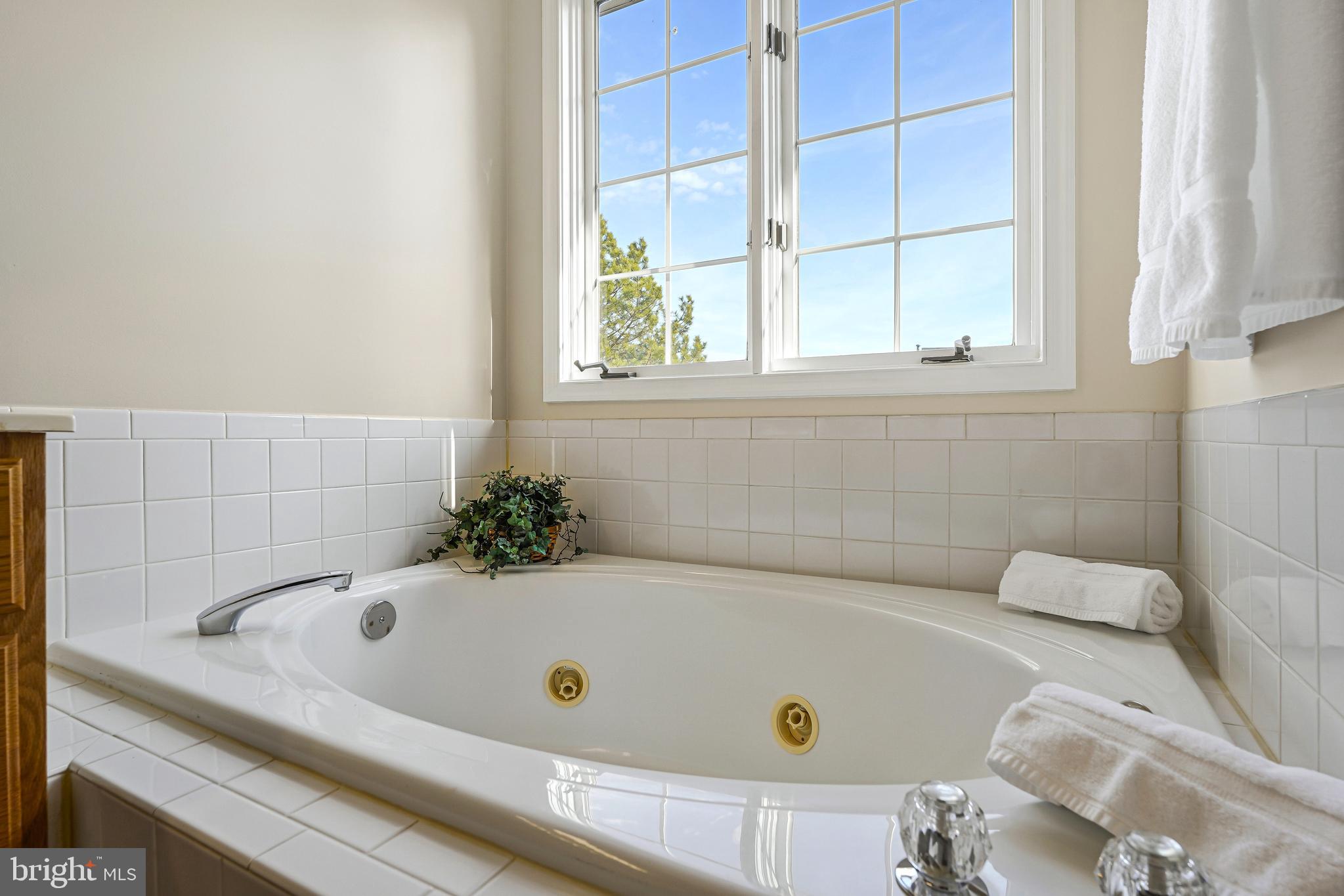 MADRILLON SPRINGS - Residential