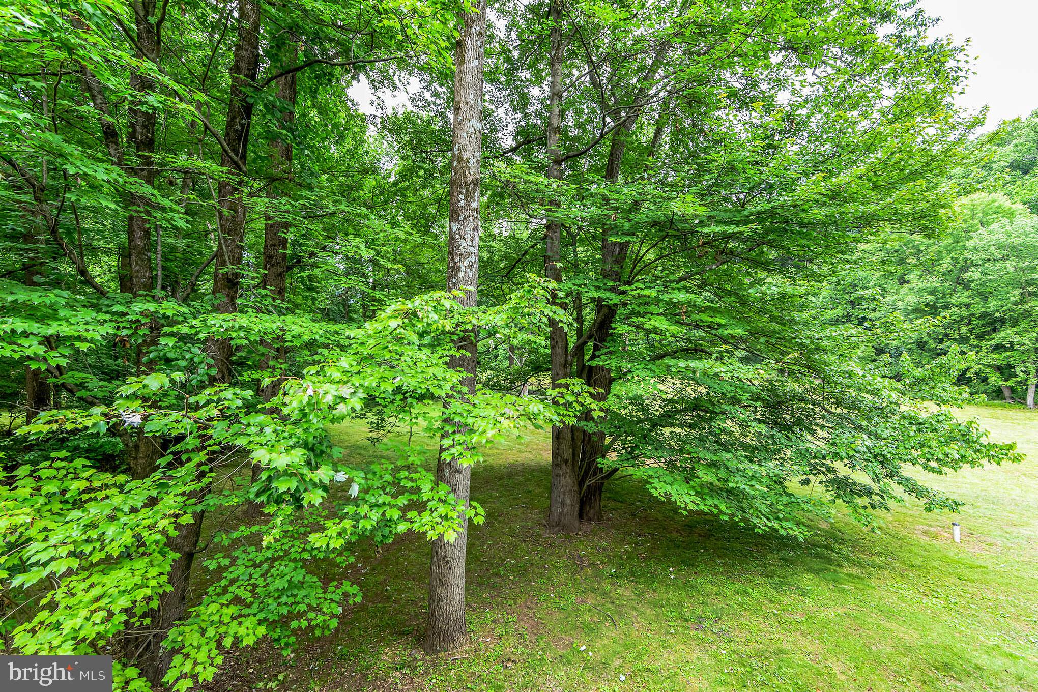 RUSTMONT - Residential