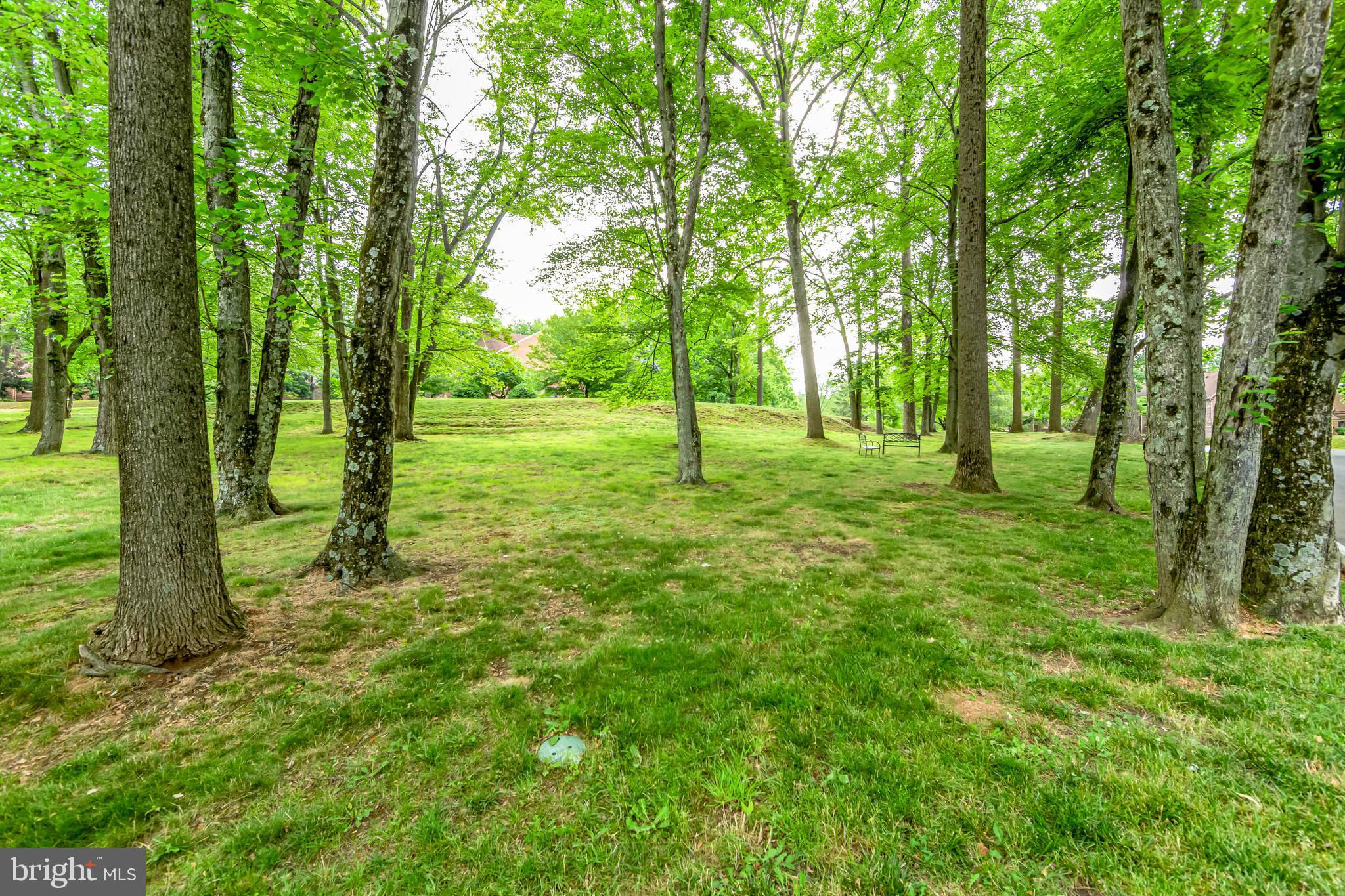 RUSTMONT - Residential