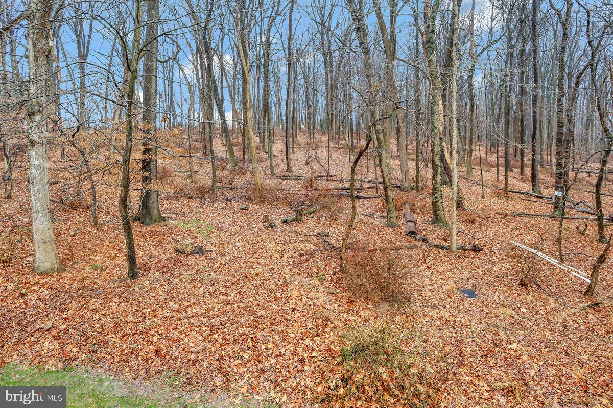 CLOPPERS MILL WEST - Residential