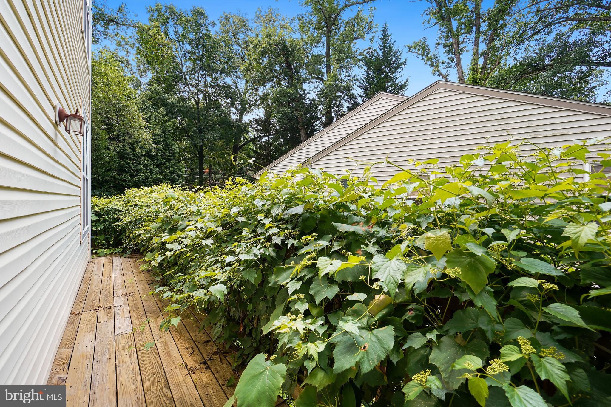 TAKOMA PARK - Residential