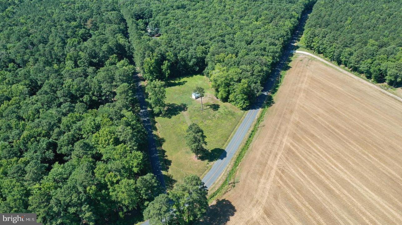 13712 CROWS FOOT LANE