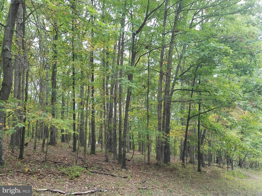 2 acre building lot in an established community. Lot 27 is a wooded lot on a hill with plenty of options for a driveway or house placement. Gorgeous area of Garrett County & only a few hundred yards to WV.