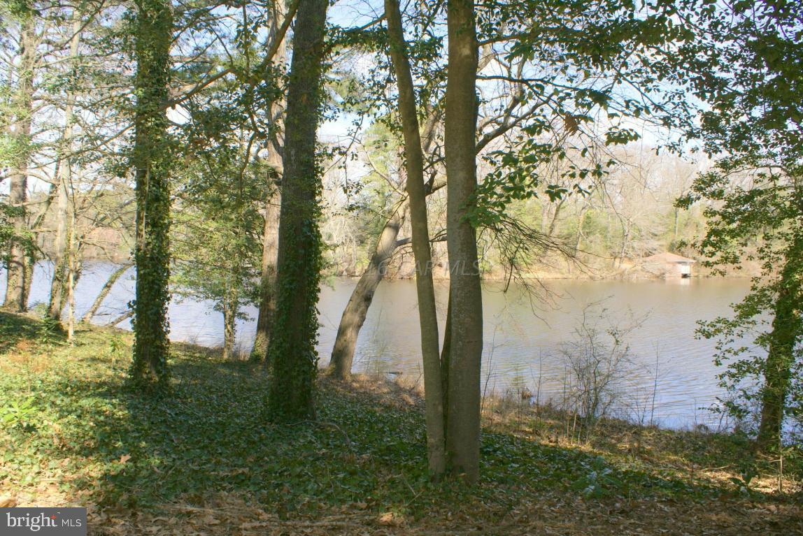 TONY TANK - Residential