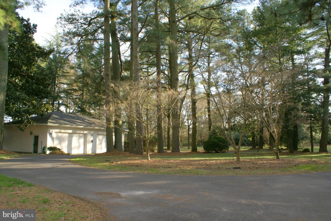 TONY TANK - Residential