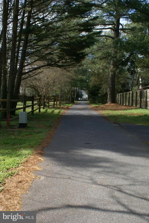 TONY TANK - Residential