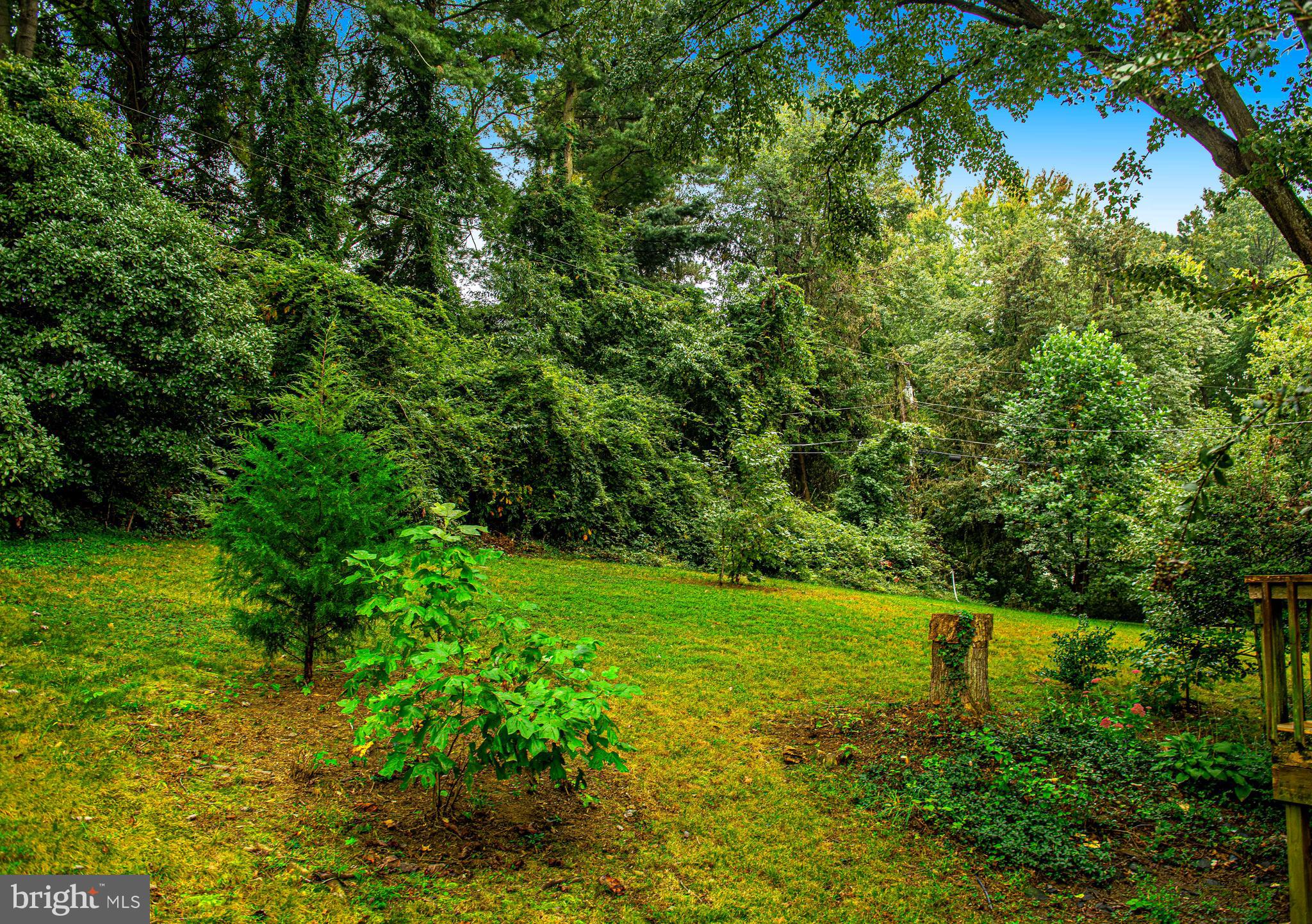 EDGEWOOD MEADOWS - Residential