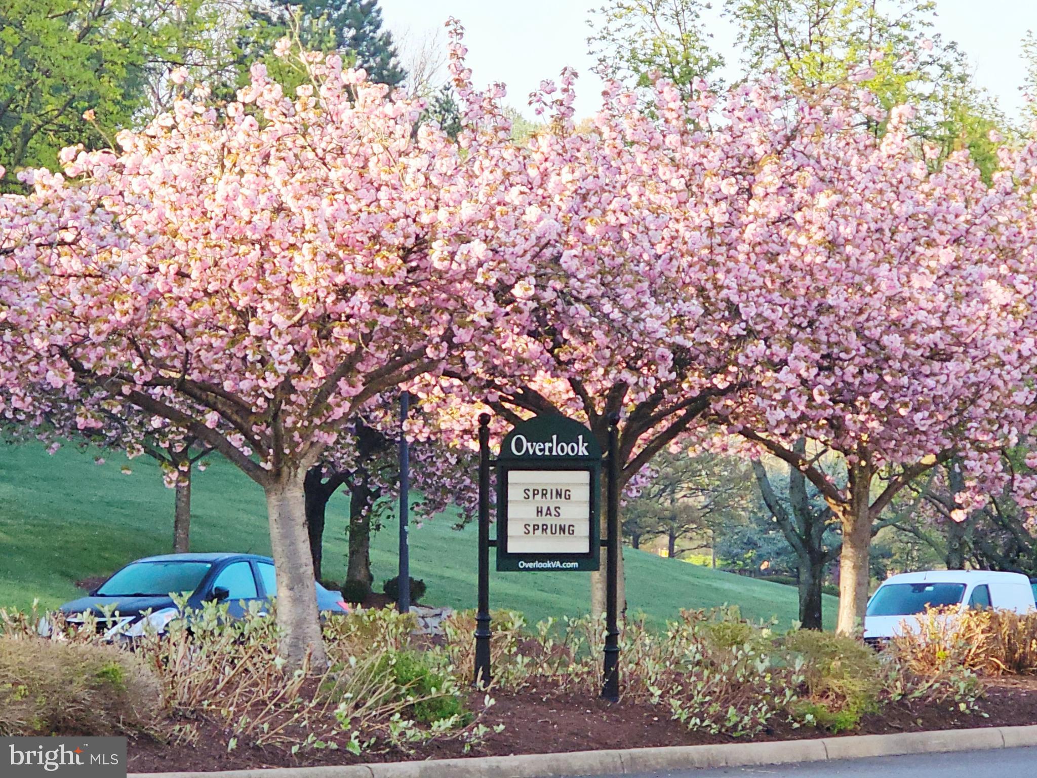 6338 EAGLE RIDGE LANE A