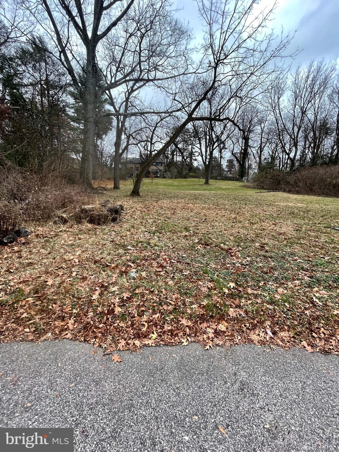 Located in desirable Chestnut Hill, this lot is situated in a gorgeous park-like setting overlooking the renowned Morris Arboretum. The surrounding property is a truly special oasis, complete with lush trees and foliage. You will find both serenity and convenience in this stunning locale, with the top-quality shops and restaurants of Germantown Avenue just minutes away. This lot is located on the section of Hillcrest Avenue that can tie into the public sewer, no private septic is needed.