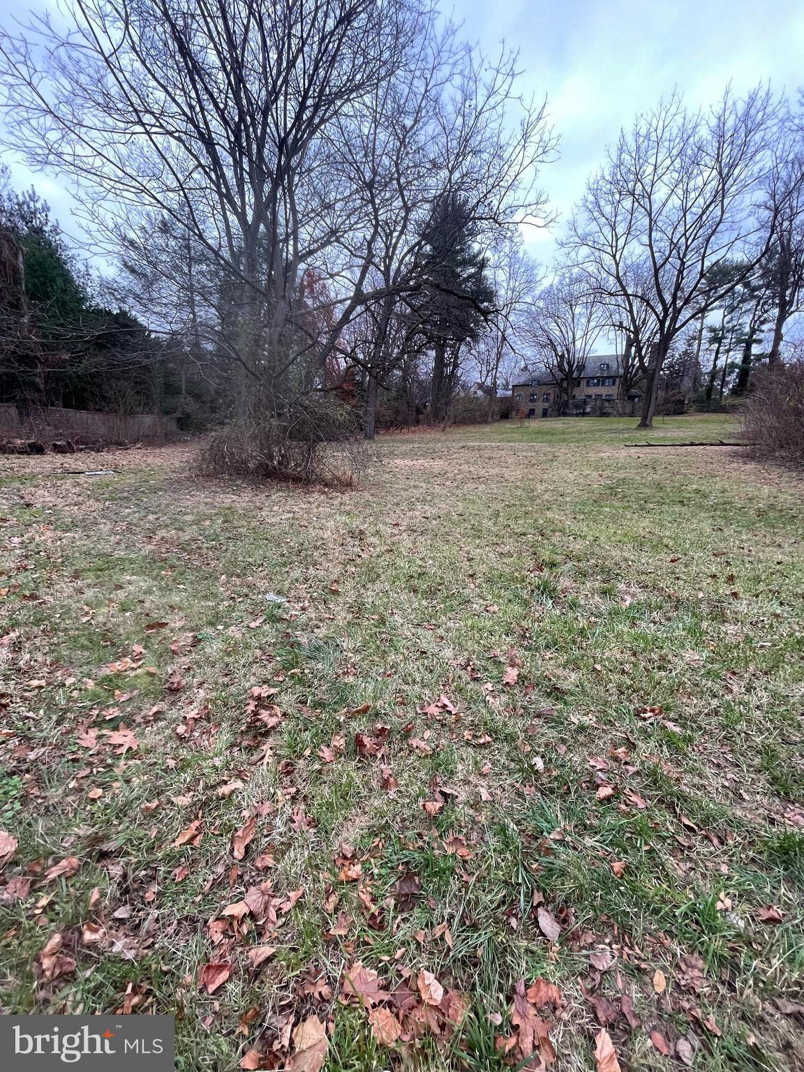 CHESTNUT HILL - Land