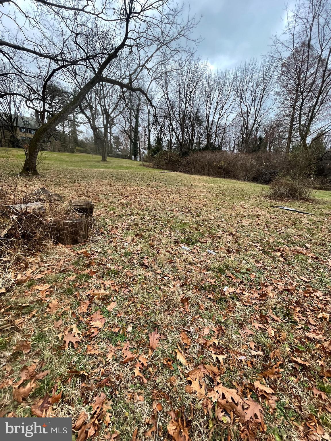 CHESTNUT HILL - Land