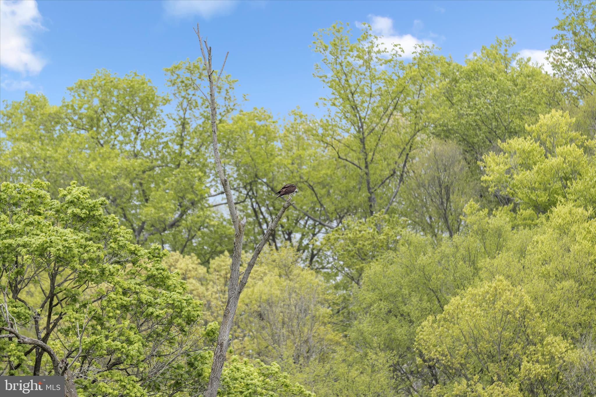 TOMES LANDING - Residential