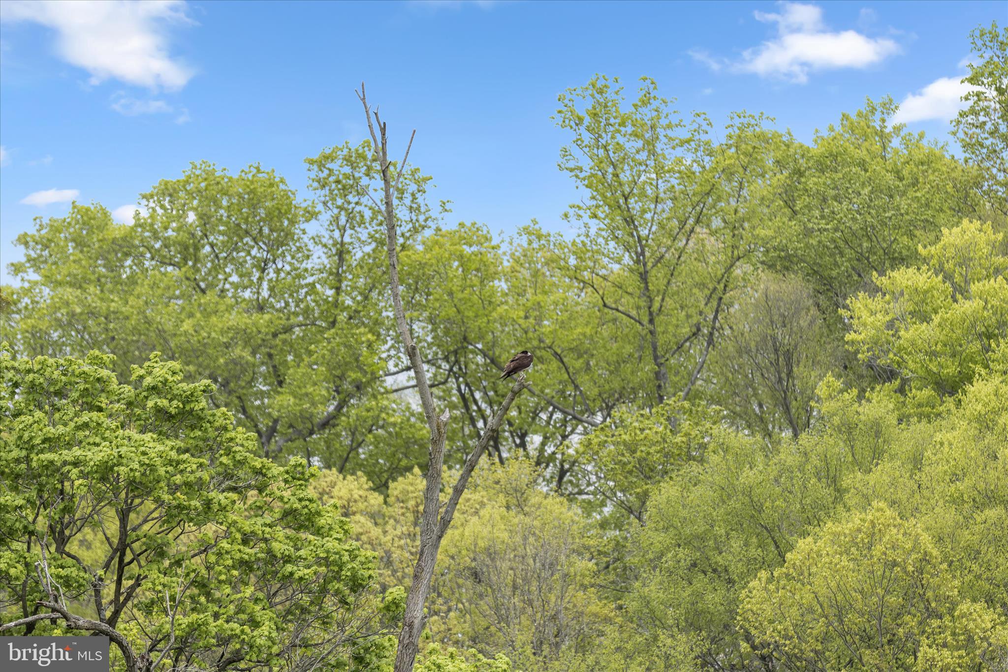 TOMES LANDING - Residential