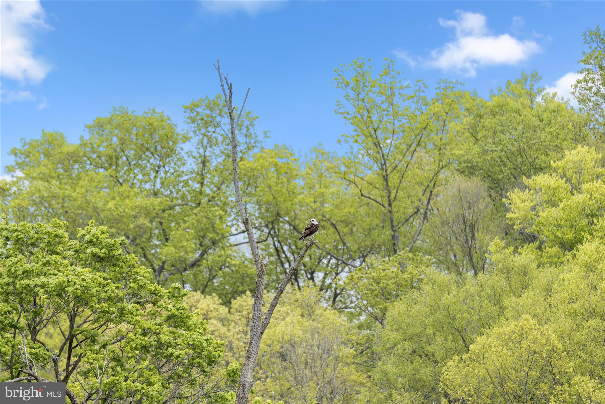 TOMES LANDING - Residential