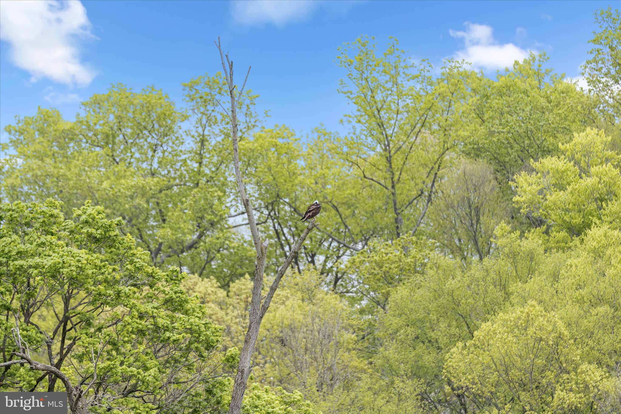 TOMES LANDING - Residential