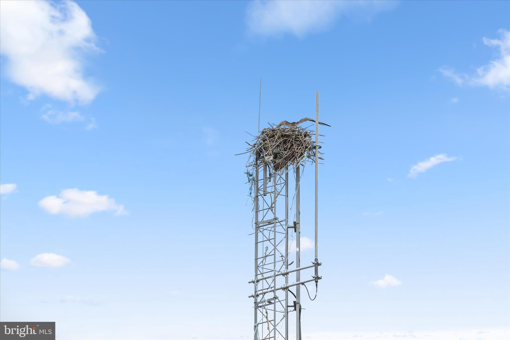 TOMES LANDING - Residential