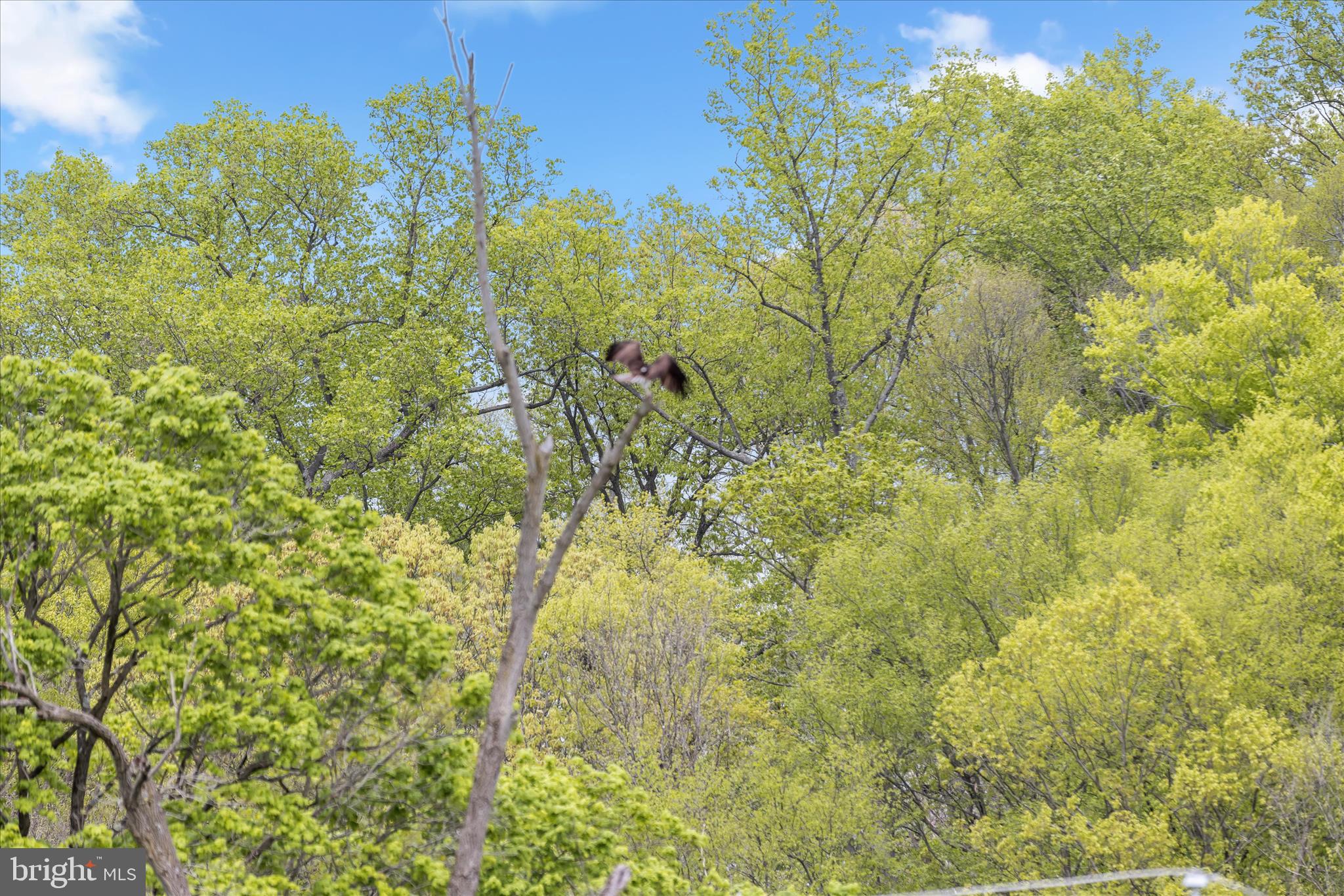 TOMES LANDING - Residential