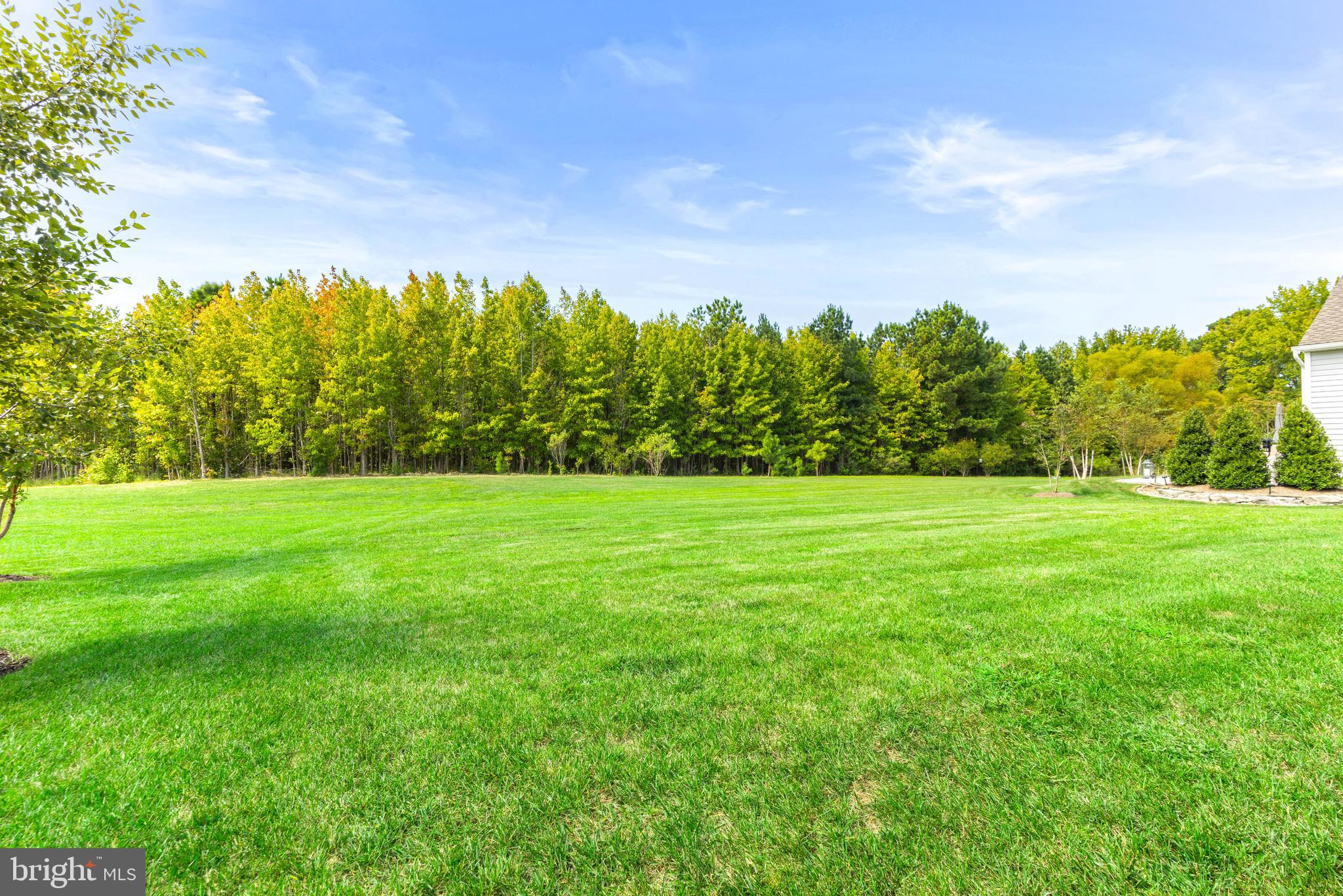 FOUR SEASONS AT KENT ISLAND - Residential