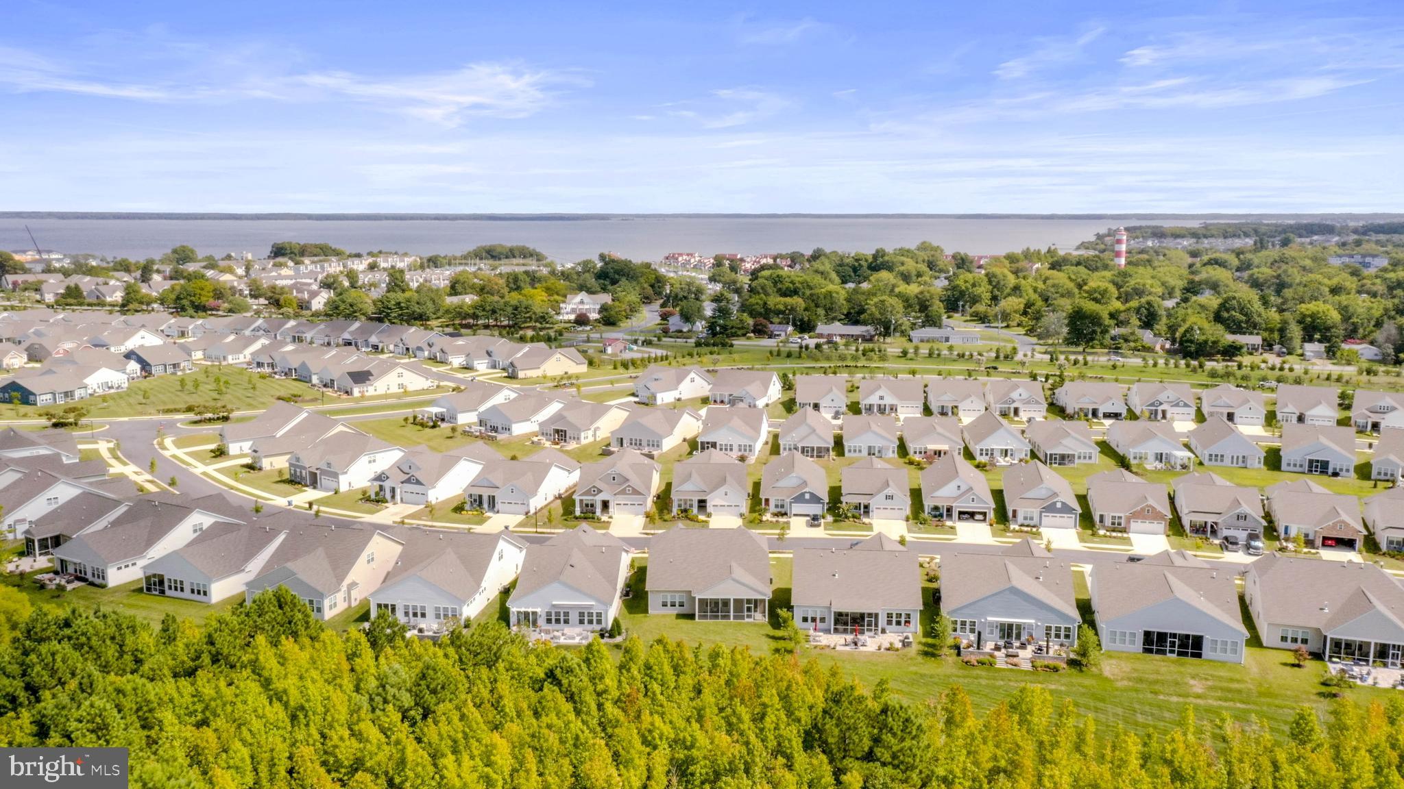 FOUR SEASONS AT KENT ISLAND - Residential