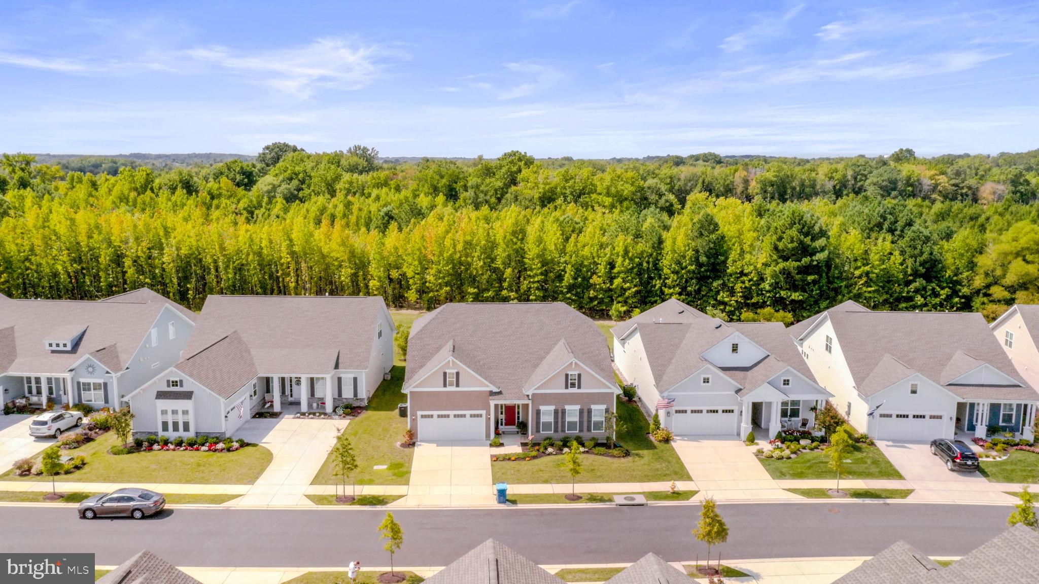 FOUR SEASONS AT KENT ISLAND - Residential