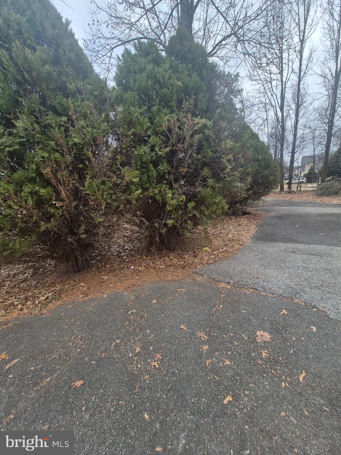 CHARLES G SCHULTZ - Residential