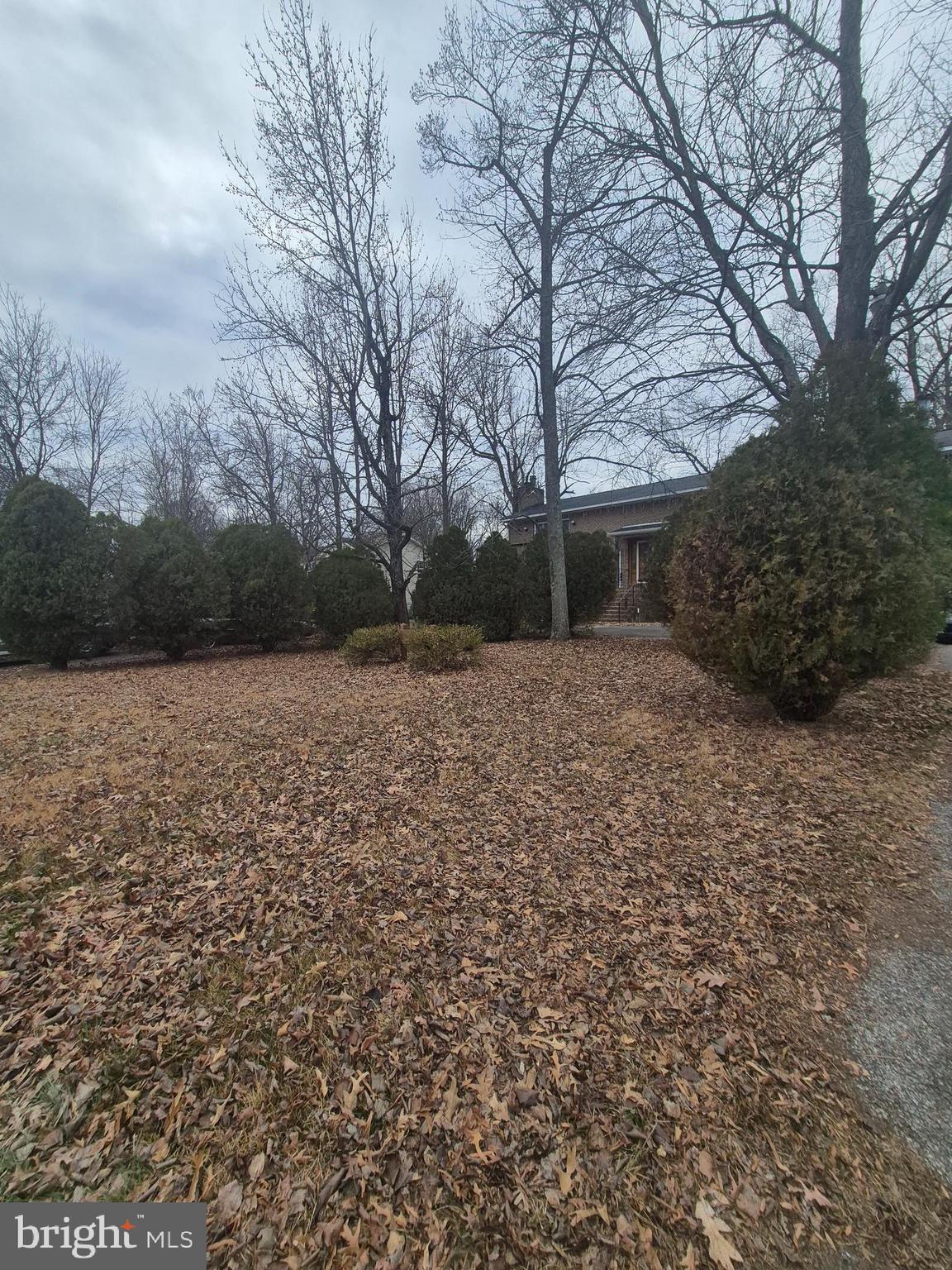 CHARLES G SCHULTZ - Residential