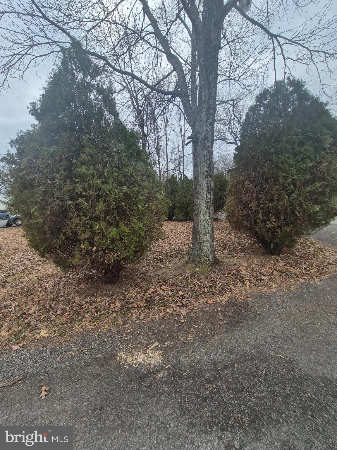 CHARLES G SCHULTZ - Residential