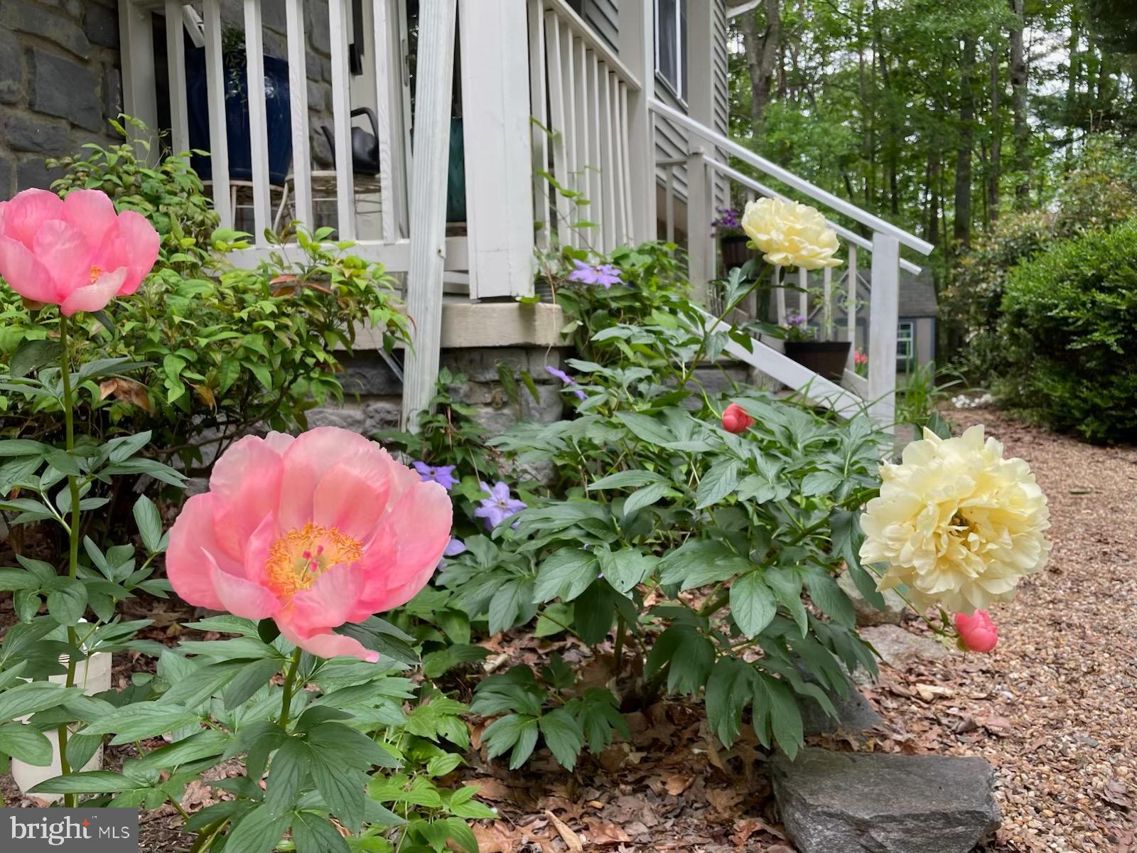 SOUTH OAKS - Residential