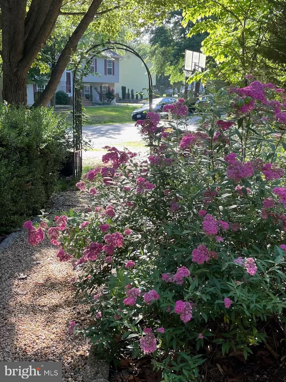 SOUTH OAKS - Residential