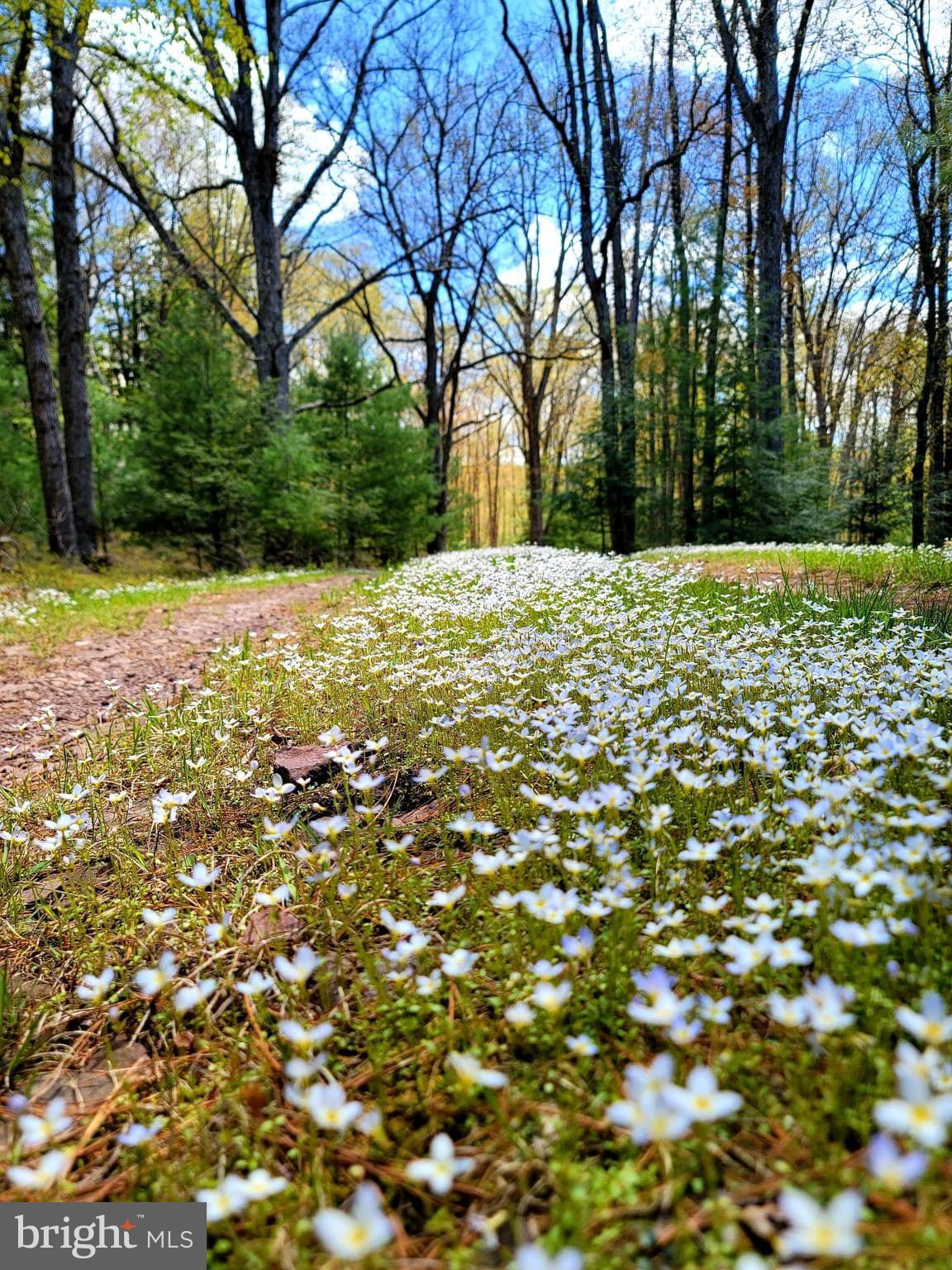 614 GRAYSTONES JERAS RD LOT P-8