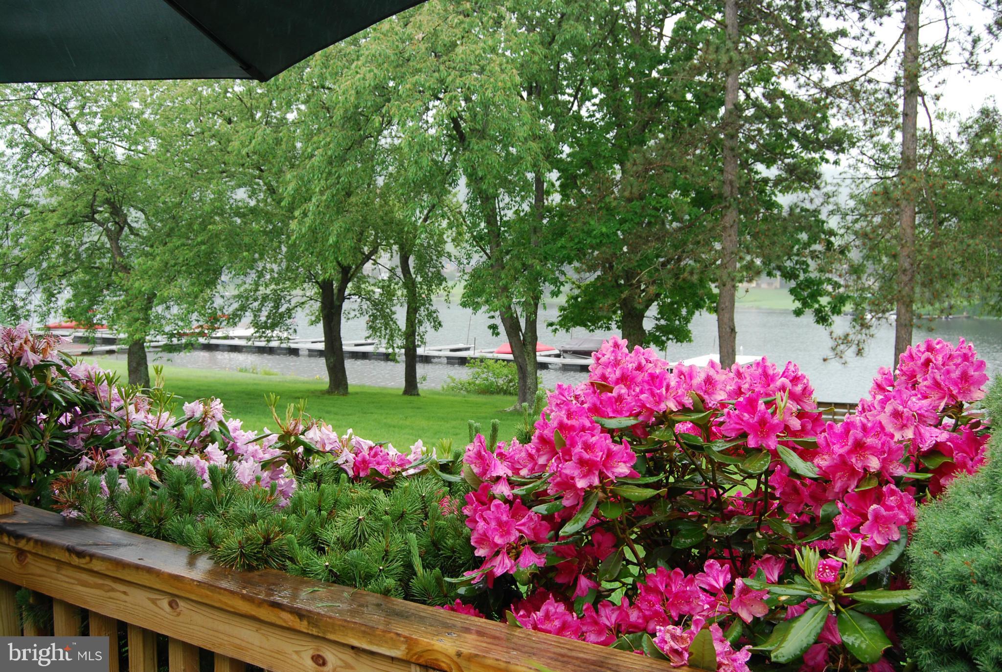 SKI HARBOR - Residential