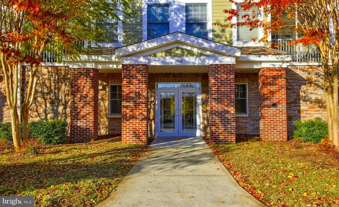 31568 WINTERBERRY PARKWAY 203