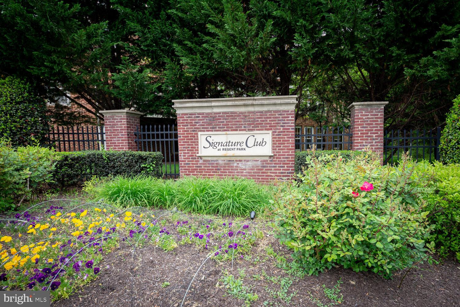 REGENT PARK - Residential