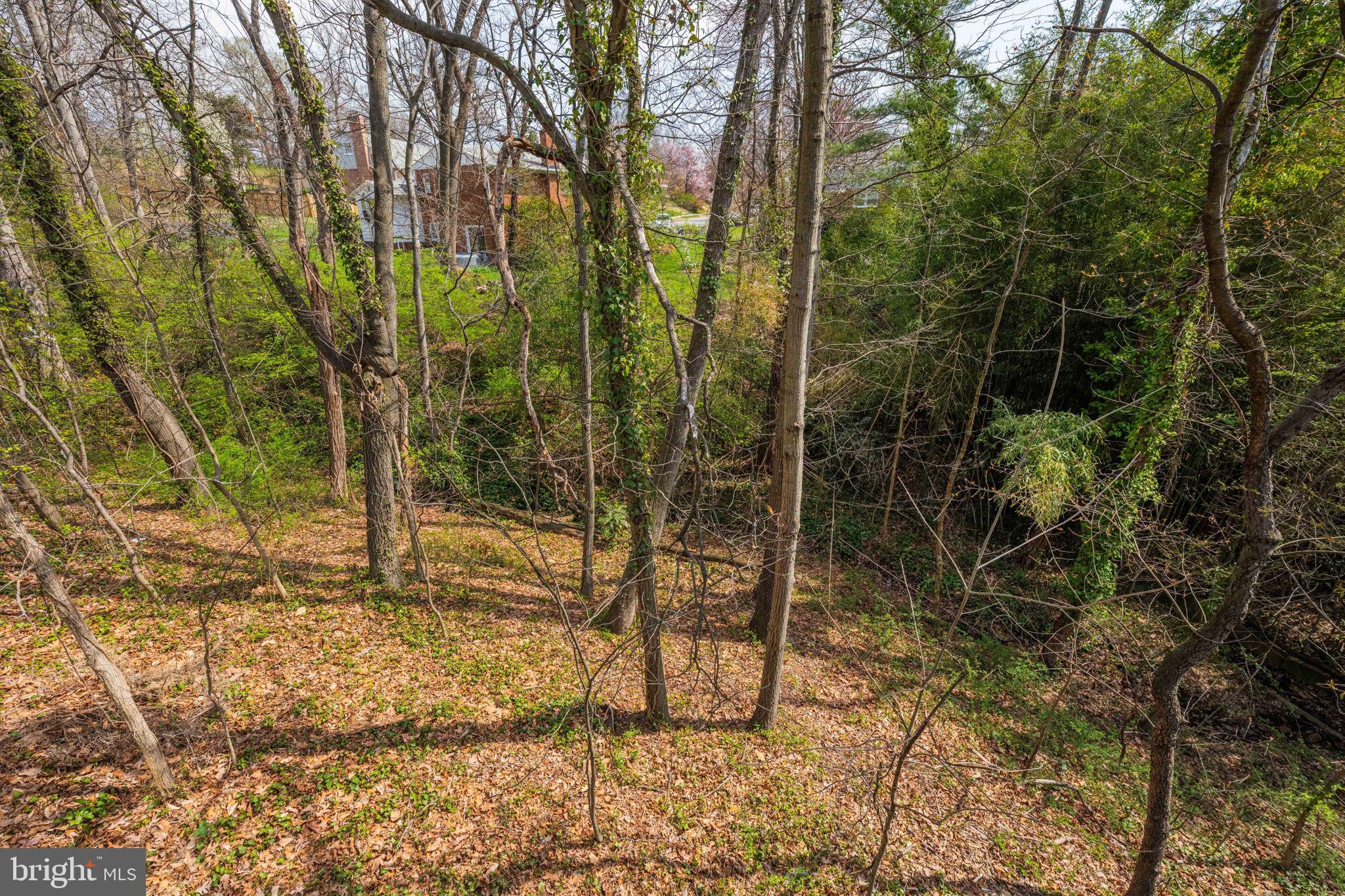 SEMINARY RIDGE - Residential