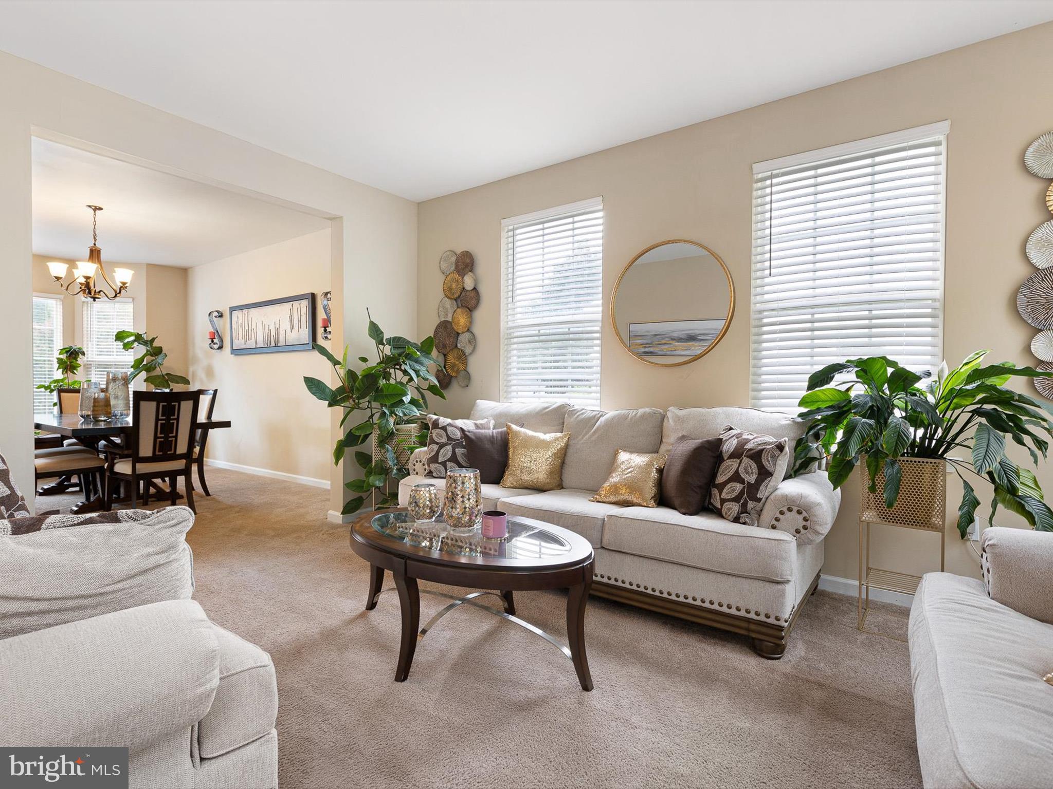 12 WILLOW GROVE MILL DRIVE