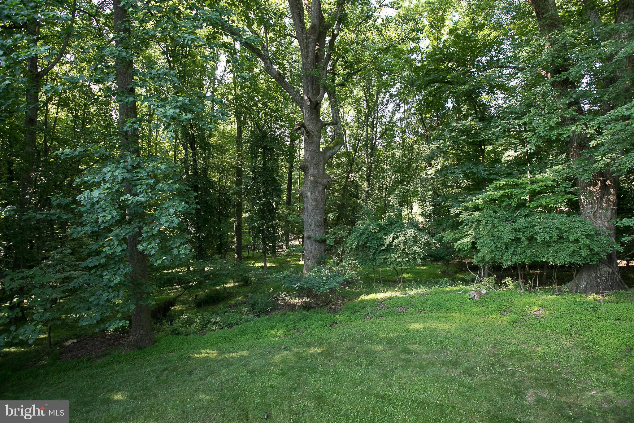 BONIFANT WOODS - Residential