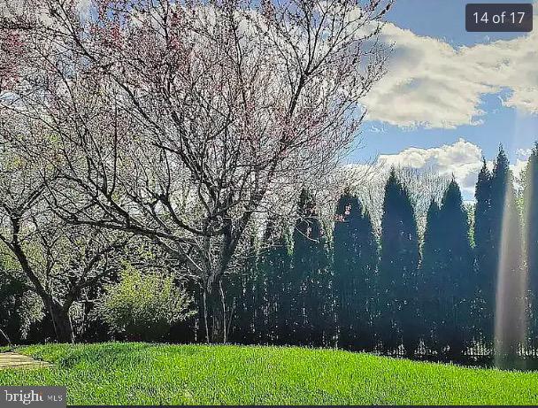 YARDLEY HUNT - Residential Lease