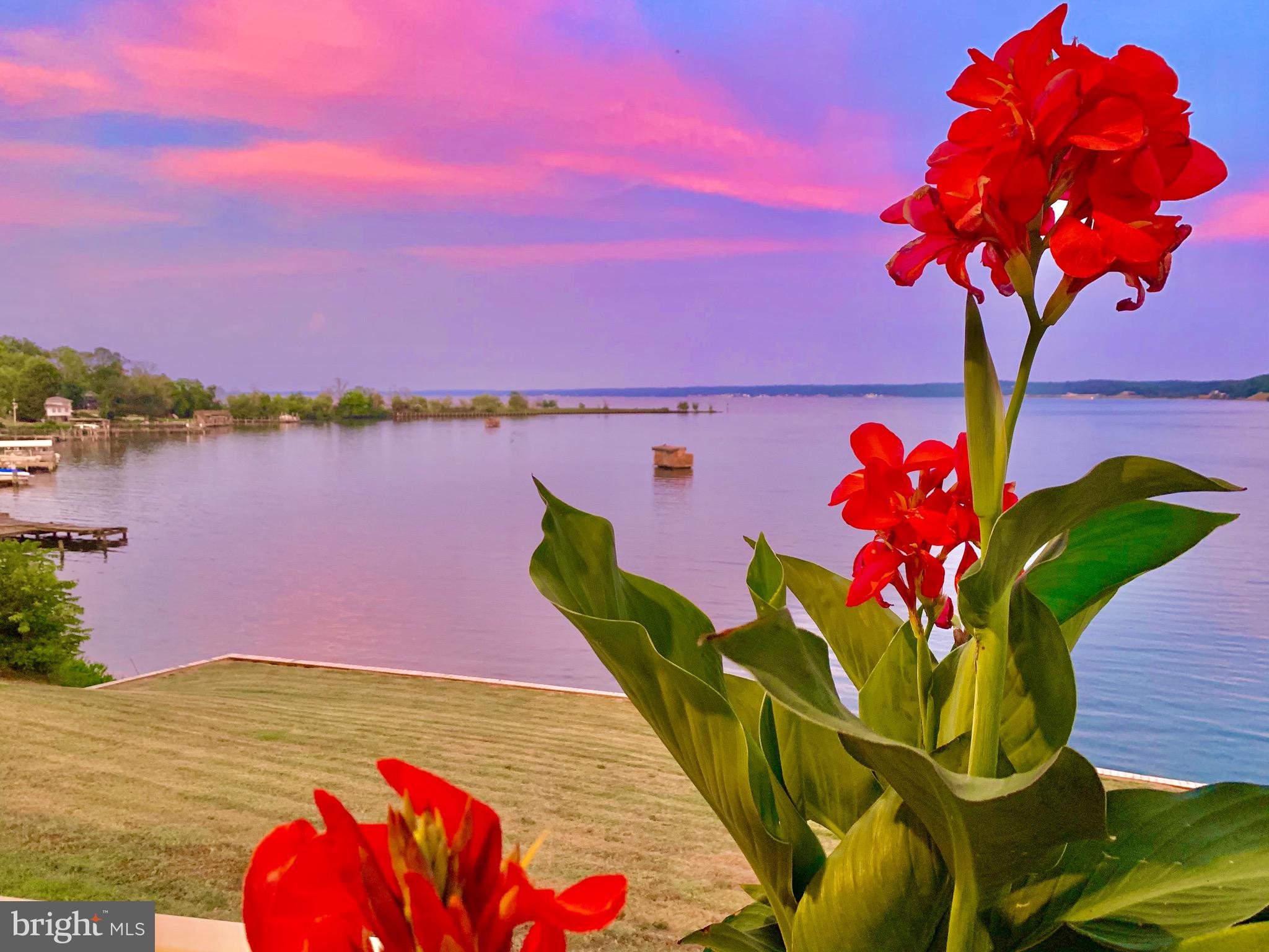 MARLBOROUGH POINT - Residential