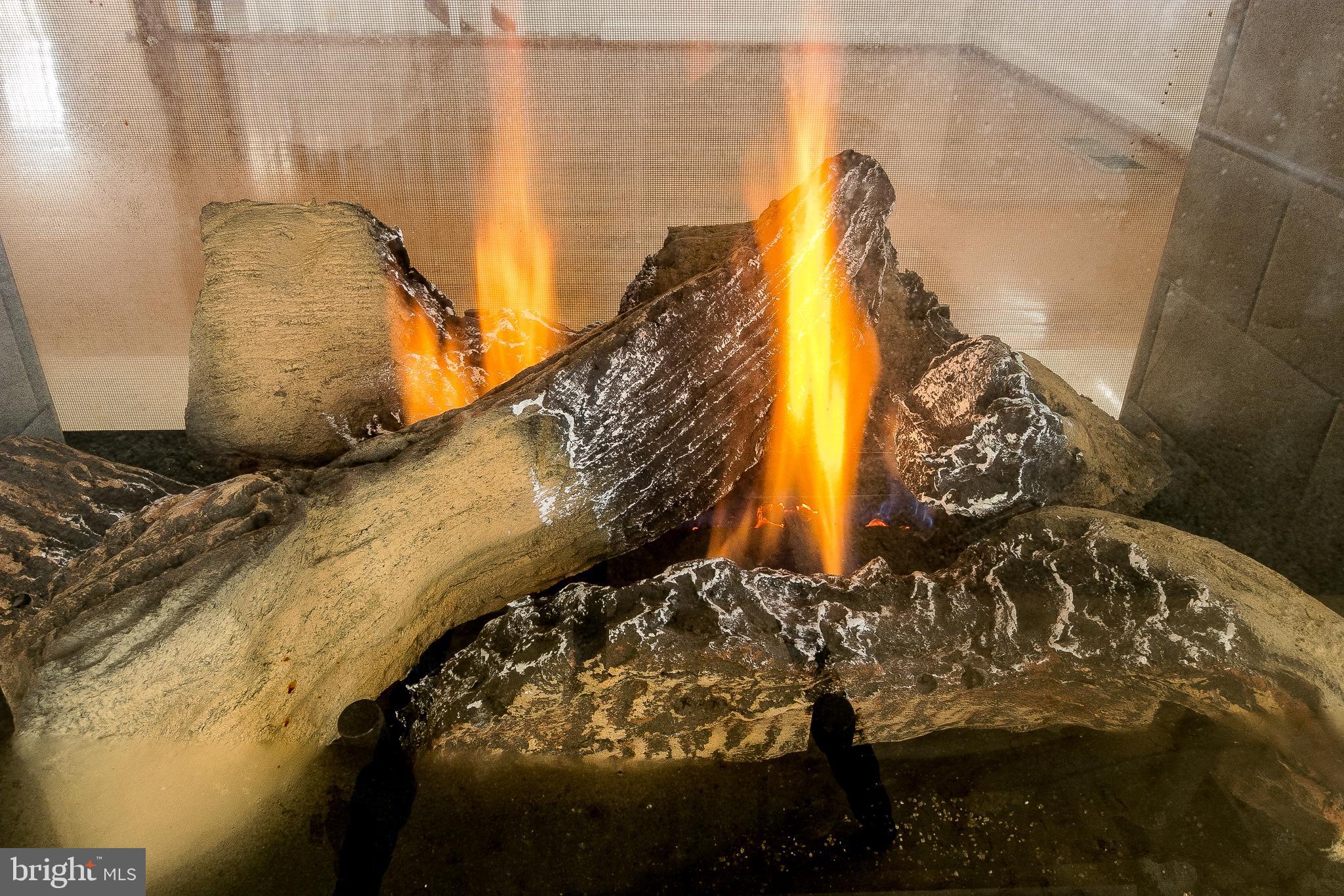 WOODSTREAM - Residential Lease