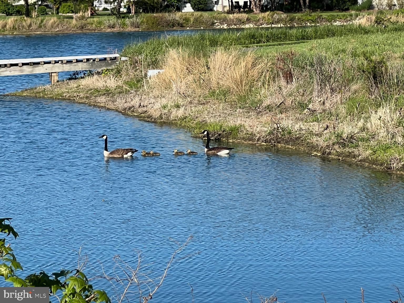 BACK CREEK LANDING - Residential