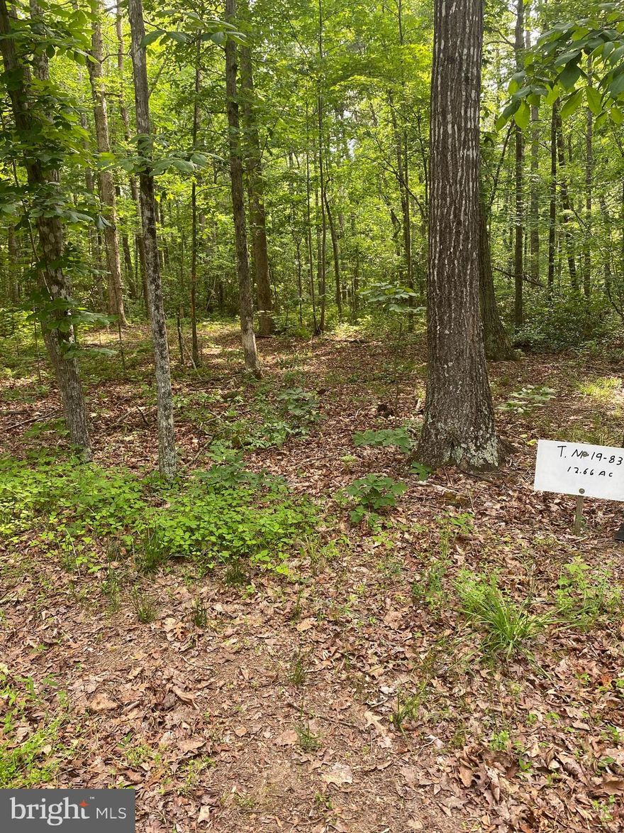 Buildable wooded lot on 12.67 acres. Country living and yet only 9 miles from the town of Culpeper.  Previous soil work on file for 4 bedroom conventional septic system. Tax Record shows Pettie Lane. Property will be accessed from Spring Hollow.  Please call for details.