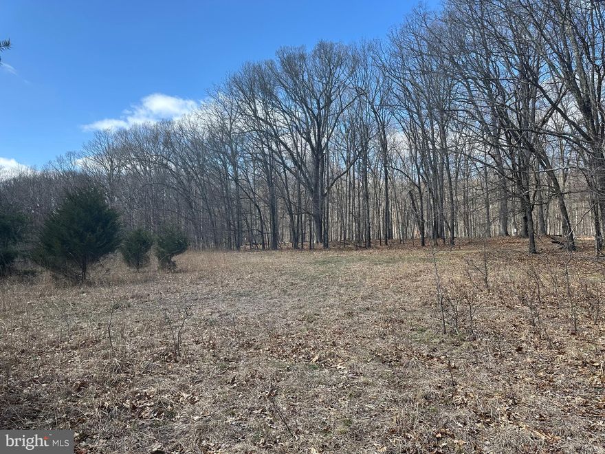 Ready to Own Your Own Piece of the Wild? Then saddle up—because what you're looking at here isn’t just dirt and trees. It’s 29.72 acres of raw, untamed mountain country nestled deep in the rugged heart of Hampshire County, West Virginia. This isn’t your average slice of real estate. This is a no-nonsense, build-what-you-want, hunt-all-day, disconnect-from-the-world kind of property. Whether you're after a personal hunting camp, a secluded cabin site, or a solid long-term investment you can actually enjoy, this land delivers like a workhorse. Let’s start with the basics—because the basics are darn good. This land sits in Shack’s Forest Subdivision, but don’t let the word “subdivision” fool you. There are no cookie-cutter homes, no manicured lawns, and no neighborhood Facebook groups here. Just one rule: no mobile homes. This is the kind of place where you can run a chainsaw at 6 AM, cook your dinner over a campfire, or just sit on your porch and listen to the wind whisper through the hardwoods. It’s the kind of land where you don’t ask for permission—you just get to work. Located just minutes from Short Mountain Wildlife Management Area, you’ll have thousands of acres of public land practically in your backyard. That means more hunting, more hiking, more exploring—and fewer neighbors. The kind of place where a man can stretch out, roam, and reconnect with the wild. It’s remote enough to feel like you’re off the grid, but not so far off the map that it’s a burden to reach. You're only two hours from Washington, D.C., but you'd swear it was a thousand miles away. Whether you're a weekend warrior escaping the Beltway or a full-time mountain man in the making, this property is exactly what you need. No traffic. No noise. No nonsense. Just you, the woods, and whatever you decide to build.