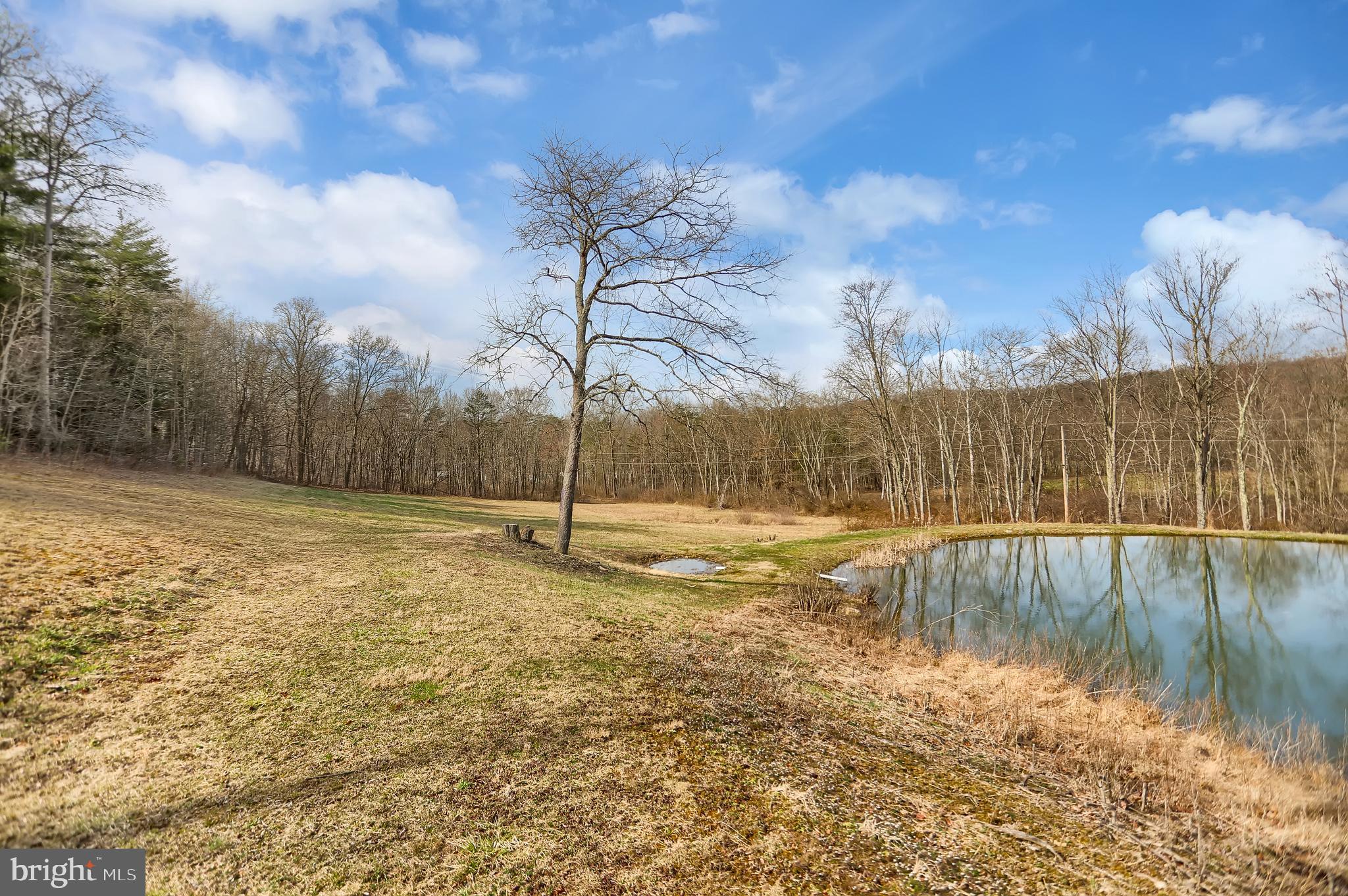 NONE AVAILABLE - Farm