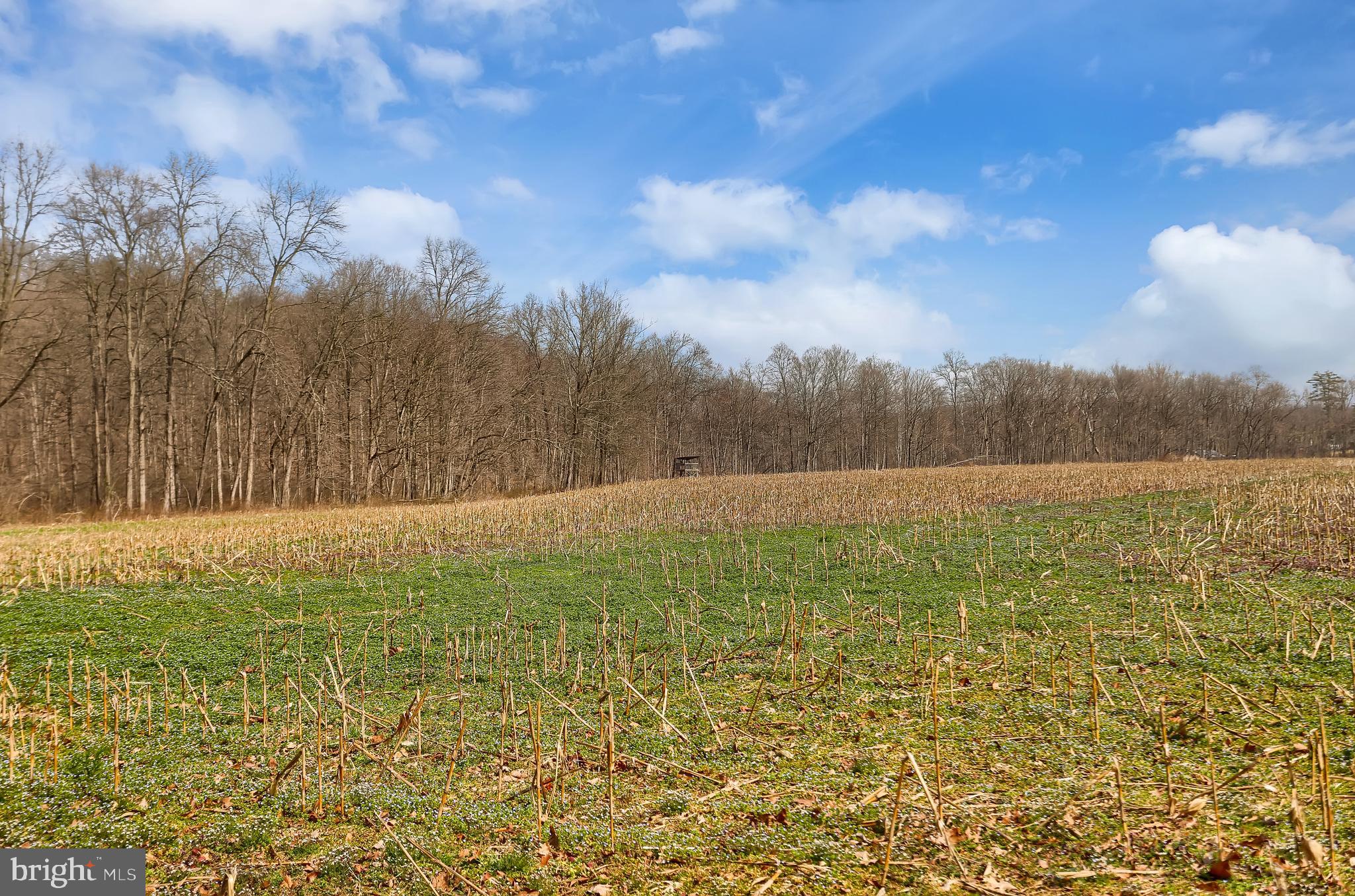 NONE AVAILABLE - Farm